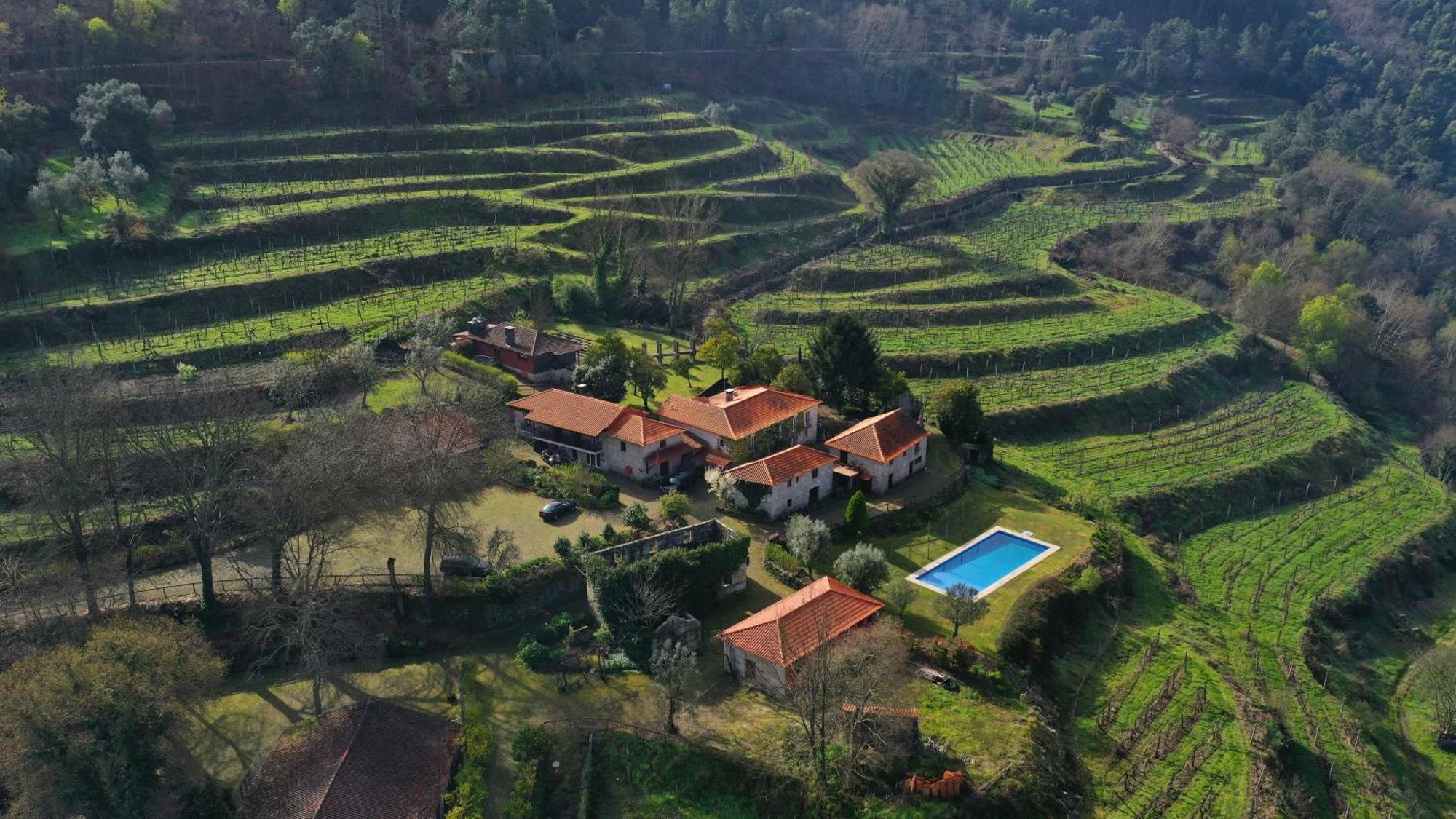 Quinta Da Pousadela - Agroturismo Guest House Amarante Bagian luar foto