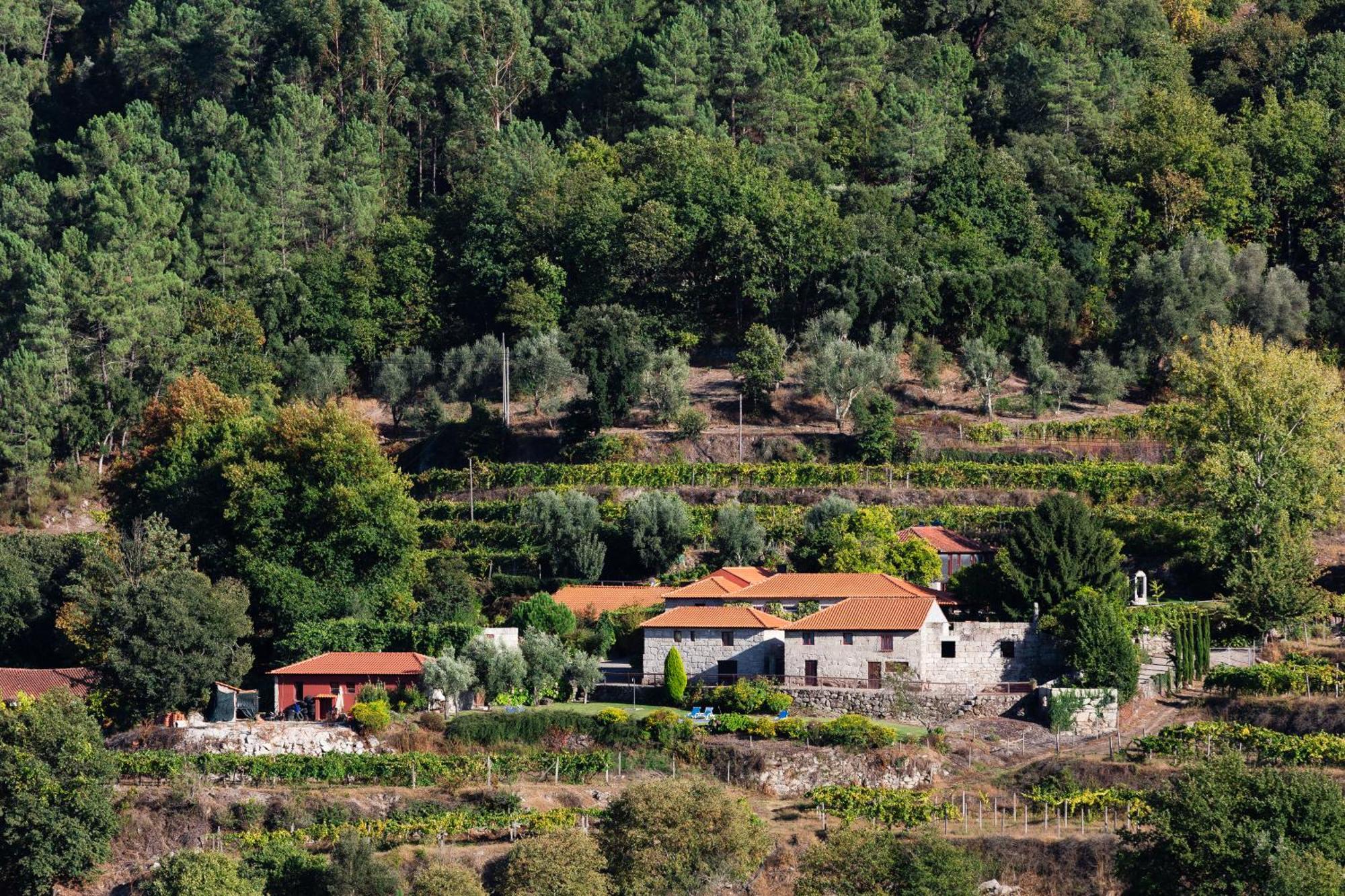 Quinta Da Pousadela - Agroturismo Guest House Amarante Bagian luar foto